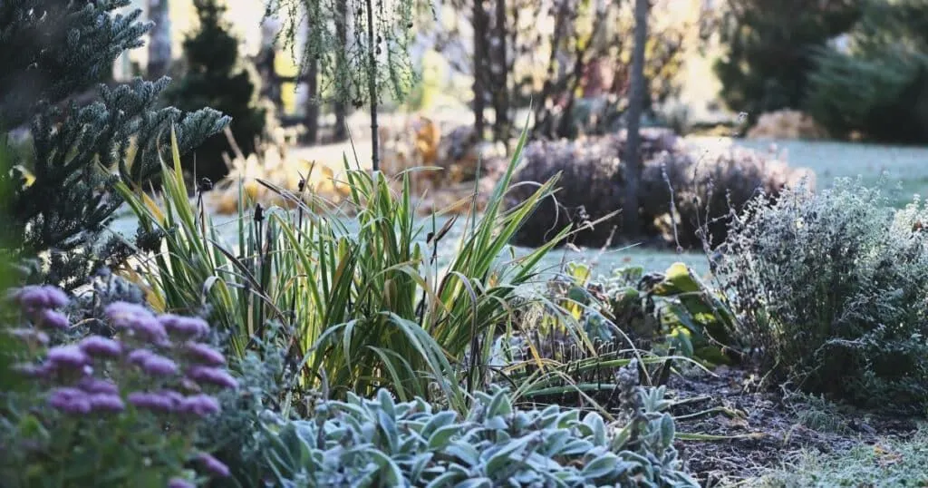 Die Vorzüge der Winterpause im Garten